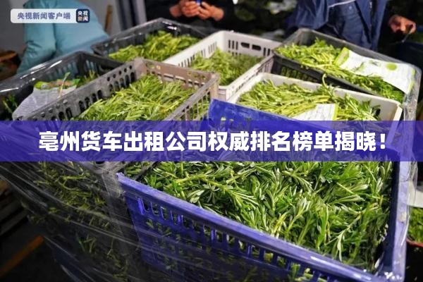 亳州货车出租公司权威排名榜单揭晓！