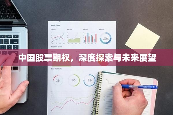 中国股票期权，深度探索与未来展望