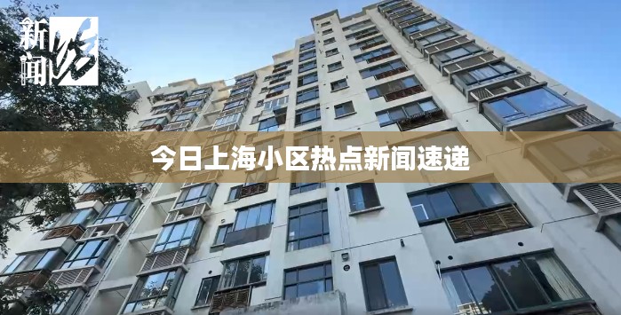 今日上海小区热点新闻速递