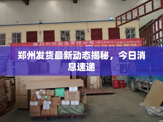郑州发货最新动态揭秘，今日消息速递