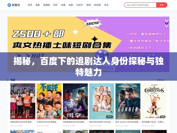 揭秘，百度下的追剧达人身份探秘与独特魅力