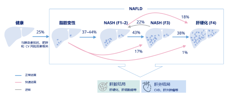 NF1最新药物实效性解读策略研究报告V232.96.61