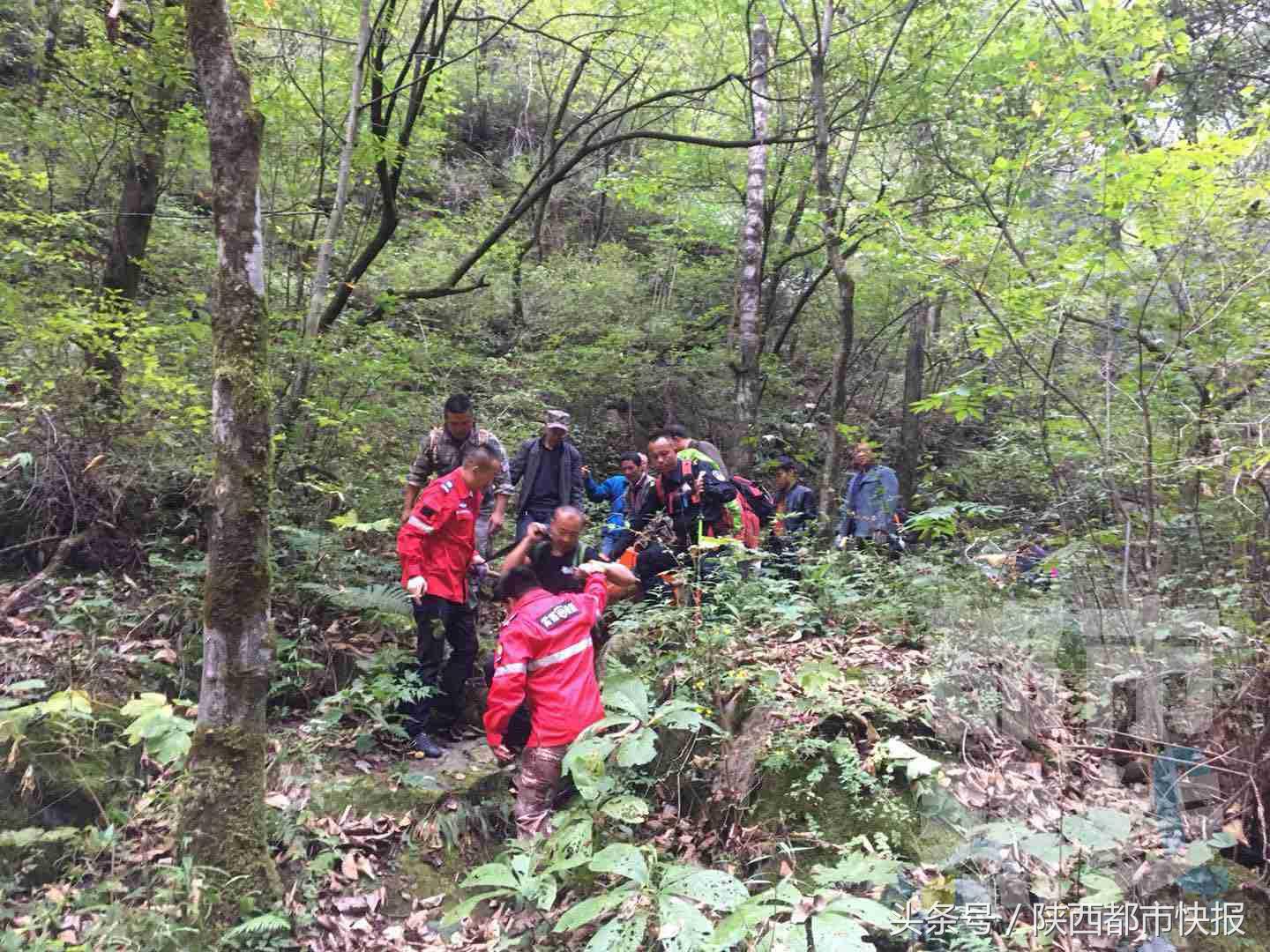 情侣冰晶顶夜爬遭遇失温悲剧，亲属安葬后关注经济执行方案分析