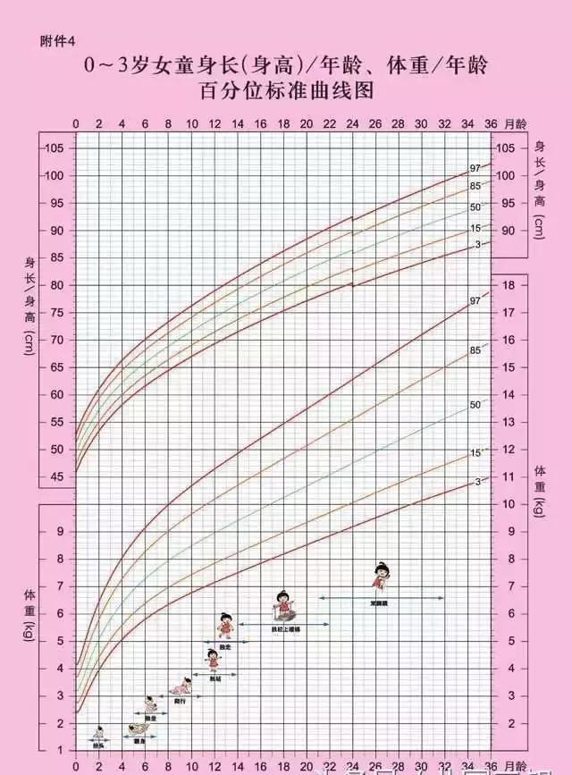 最新的大依,科学解析评估_粉丝版48.61.43