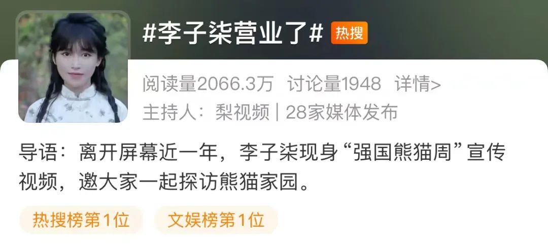 李子柒现身强国熊猫周宣传视频,李子柒亮相强国熊猫周宣传视频，文化与自然的完美融合