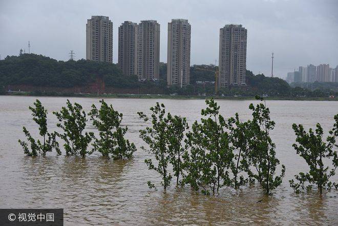 长沙暴雨引发洪涝灾害的最新进展报道