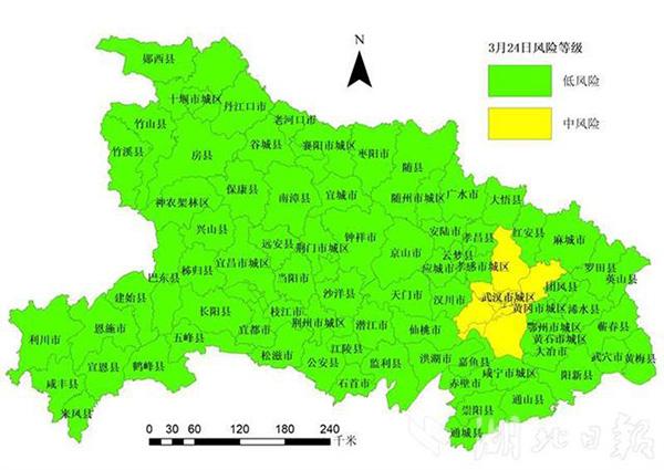 武汉最新疫情数据概览，26日最新情况分析