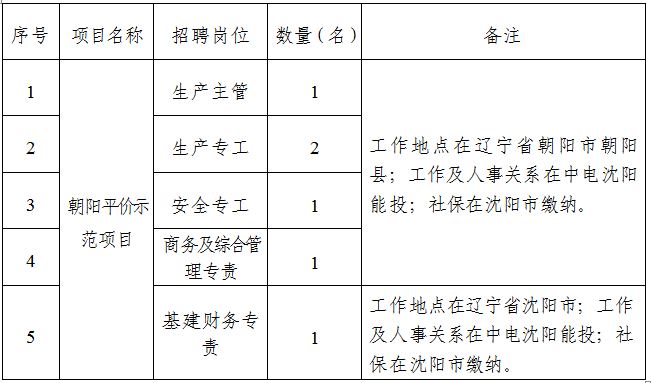 沈阳电子厂最新招聘启事，招聘单位概述与岗位解析