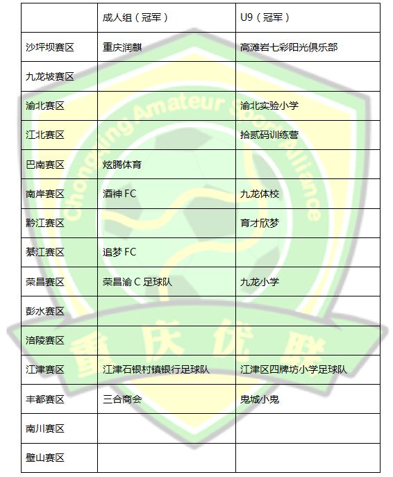 赛事最新赛况概览，赛场动态与精彩瞬间回顾