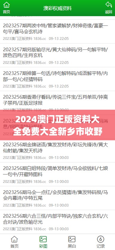 2024澳门正版资料大全免费大全新乡市收野区,专业研究解析说明_set44.672