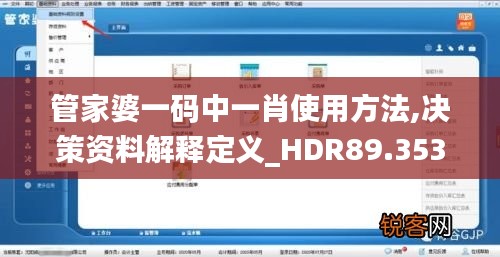 管家婆一码中一肖使用方法,决策资料解释定义_HDR89.353