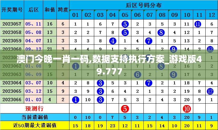 澳门今晚一肖一码,数据支持执行方案_游戏版49.777