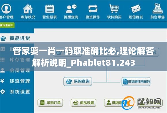 管家婆一肖一码取准确比必,理论解答解析说明_Phablet81.243