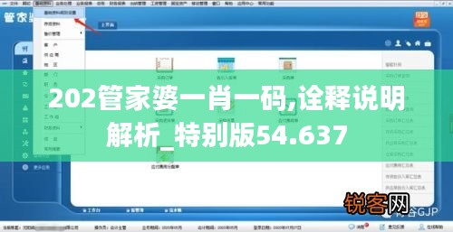 202管家婆一肖一码,诠释说明解析_特别版54.637