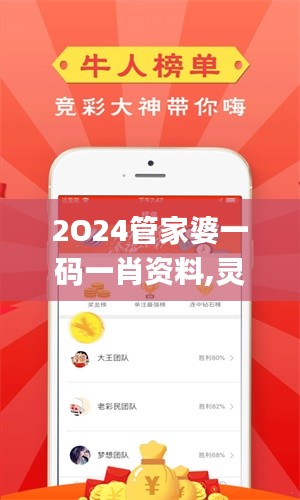 2O24管家婆一码一肖资料,灵活性策略设计_Advance23.74