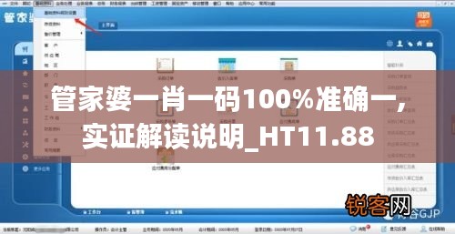 管家婆一肖一码100%准确一,实证解读说明_HT11.88