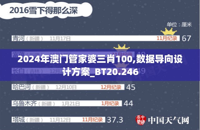 2024年澳门管家婆三肖100,数据导向设计方案_BT20.246