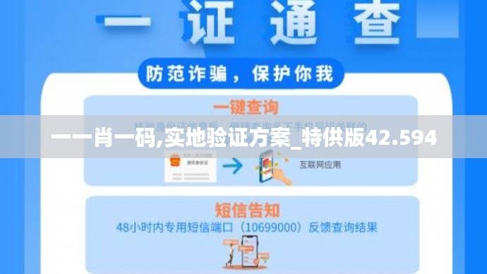 一一肖一码,实地验证方案_特供版42.594