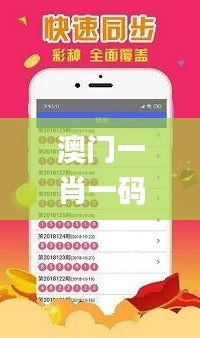 澳门一肖一码精准100王中王，最新解答解析说明_网页版62.45.69