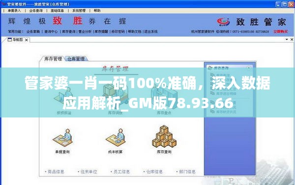 管家婆一肖一码100%准确，深入数据应用解析_GM版78.93.66