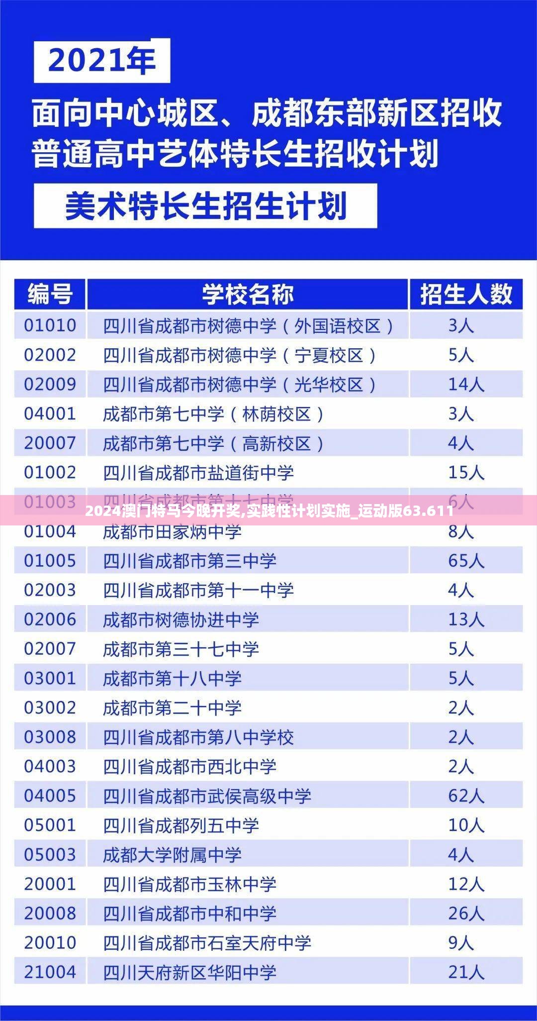 2024澳门特马今晚开奖,实践性计划实施_运动版63.611