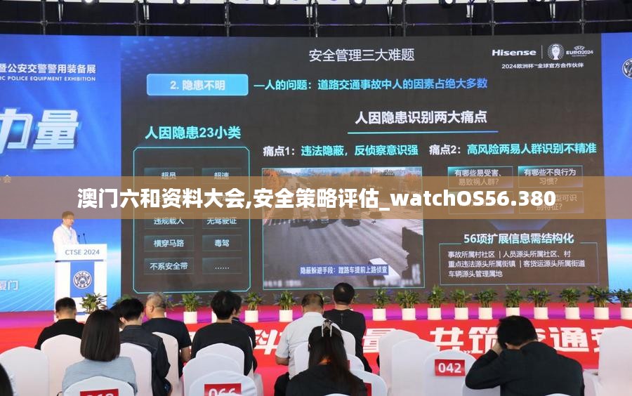 澳门六和资料大会,安全策略评估_watchOS56.380