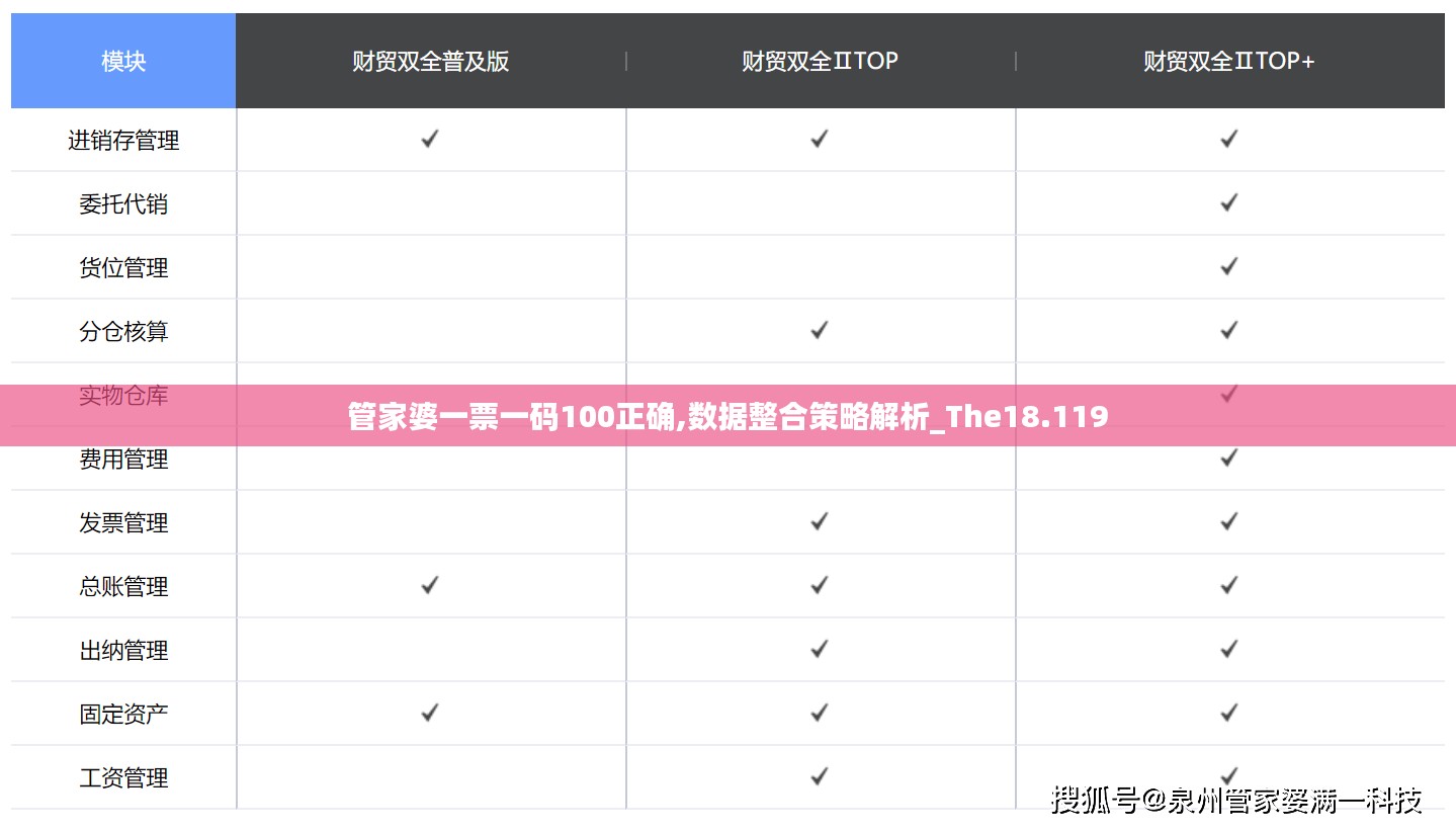 管家婆一票一码100正确,数据整合策略解析_The18.119