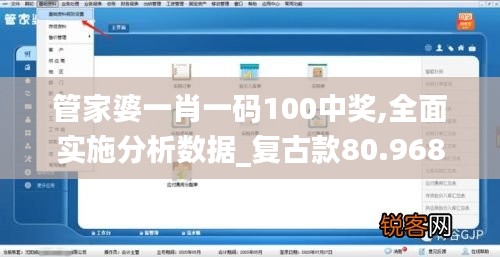 管家婆一肖一码100中奖,全面实施分析数据_复古款80.968