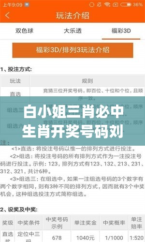 白小姐三肖必中生肖开奖号码刘佰,高速解析响应方案_6DM89.676