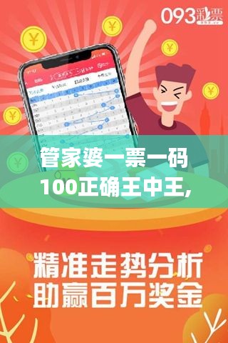 管家婆一票一码100正确王中王,详细解读解释定义_冒险款30.506