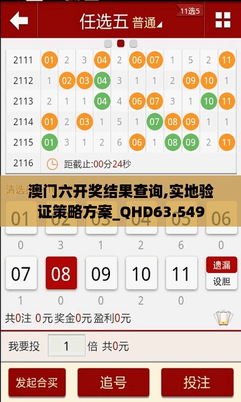 澳门六开奖结果查询,实地验证策略方案_QHD63.549