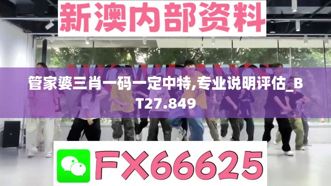 管家婆三肖一码一定中特,专业说明评估_BT27.849