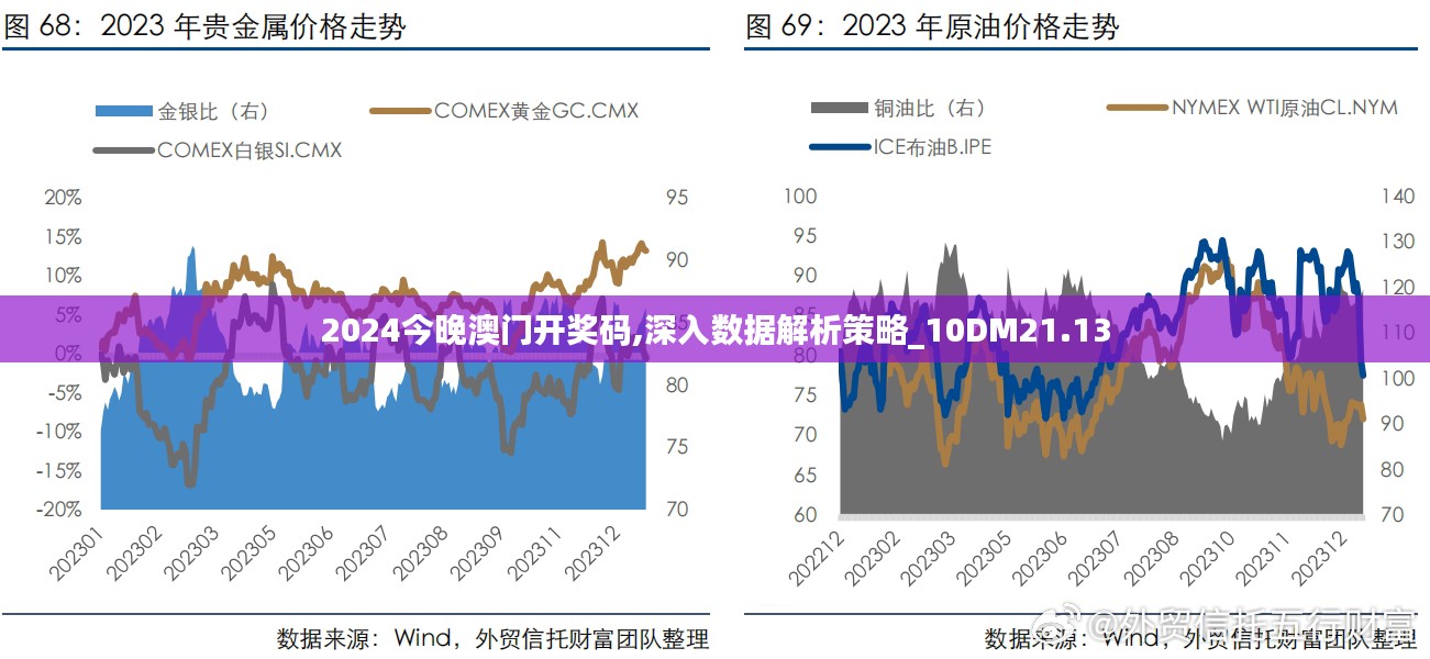 2024今晚澳门开奖码,深入数据解析策略_10DM21.13