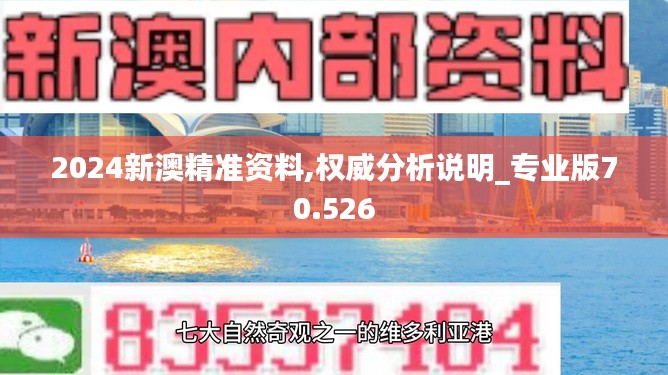 2024新澳精准资料,权威分析说明_专业版70.526