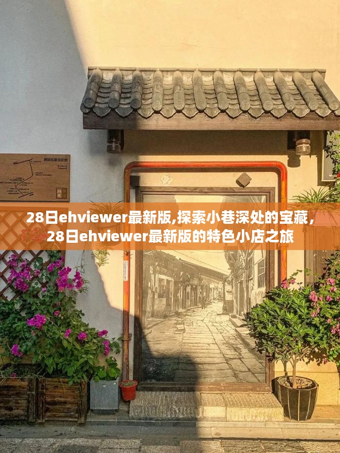 探索小巷深处的宝藏，最新ehviewer 28日特色小店之旅