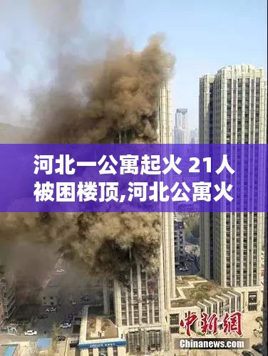 河北公寓火灾，21人被困楼顶，温情时刻见证爱与陪伴的力量