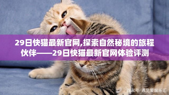 探索自然秘境的旅程伙伴，快猫最新官网体验评测