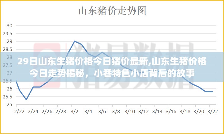 山东生猪价格揭秘，今日最新走势与小巷特色小店的背后故事