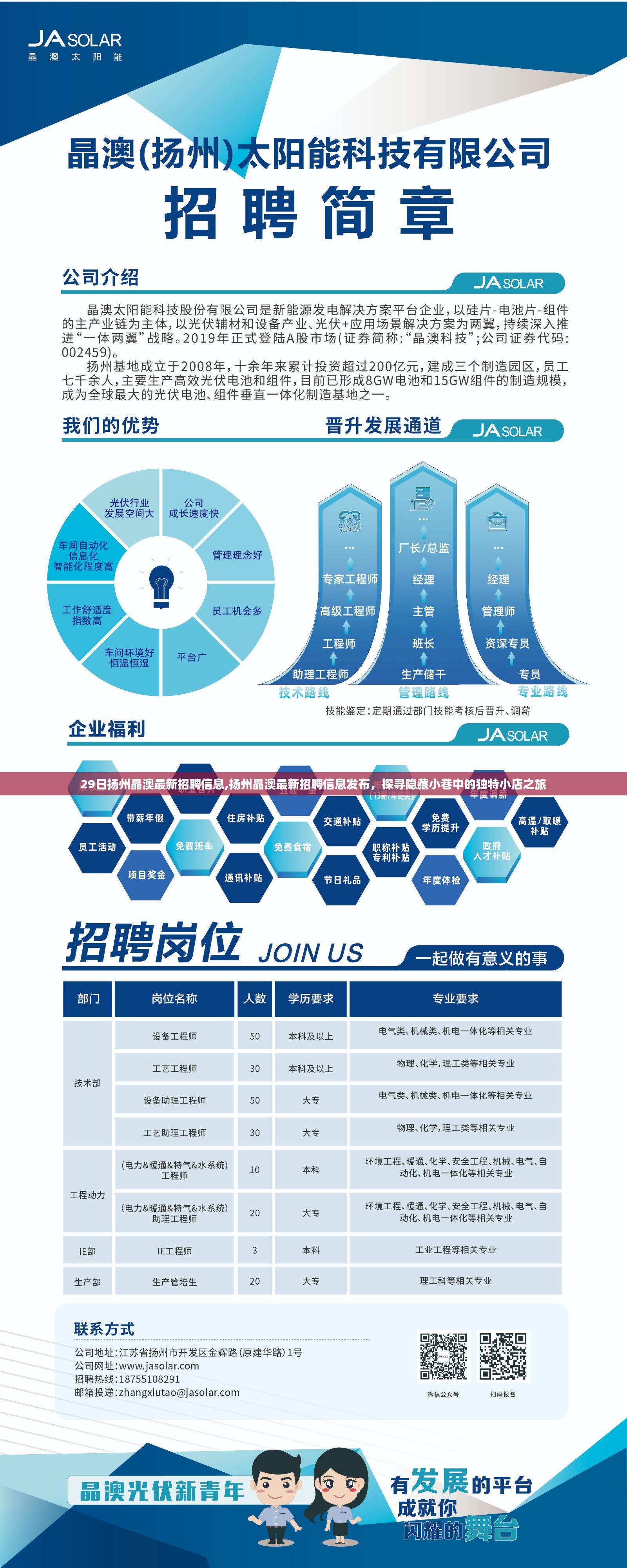 扬州晶澳最新招聘信息发布，探寻隐藏小巷中的独特小店之旅