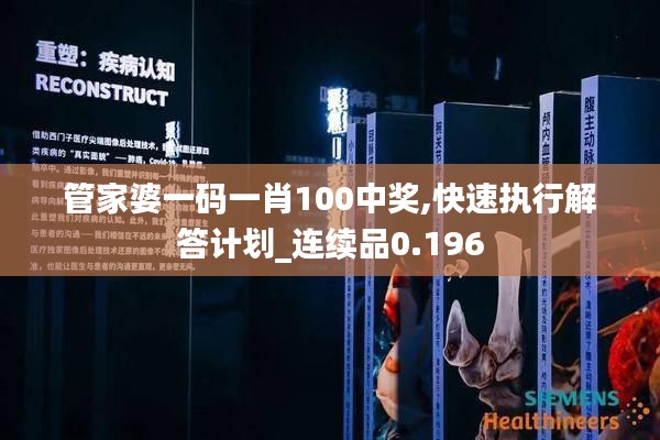 管家婆一码一肖100中奖,快速执行解答计划_连续品0.196