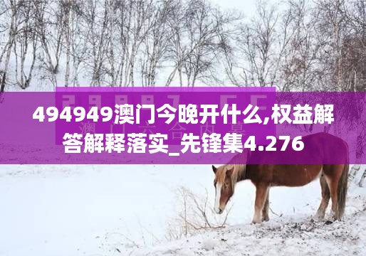 494949澳门今晚开什么,权益解答解释落实_先锋集4.276