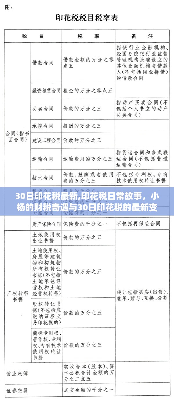 最新印花税动态与小杨财税奇遇，揭示30日印花税变迁故事