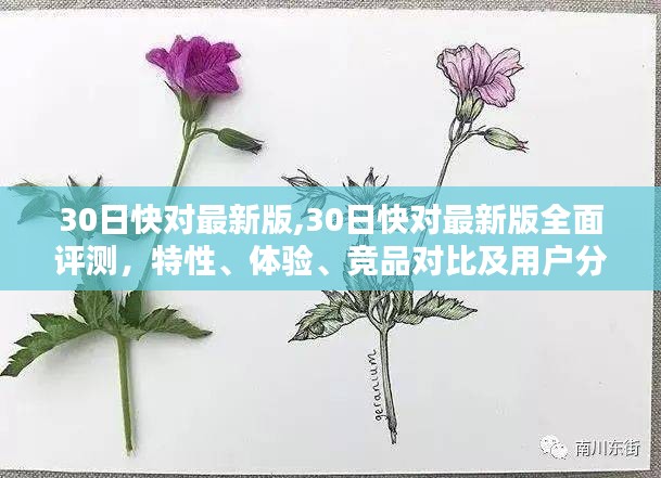 30日快对最新版全面评测，特性、体验、竞品对比及用户深度分析