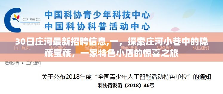 庄河最新招聘信息揭秘，探索隐藏宝藏的特色小店惊喜之旅