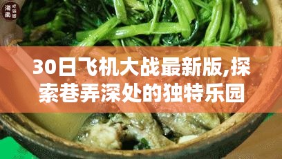 揭秘特色小店，探索巷弄深处的独特乐园——30日飞机大战最新版