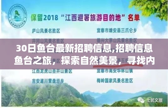 鱼台最新招聘信息揭秘，职场之旅与自然美景的双重探索，寻找内心的宁静平和