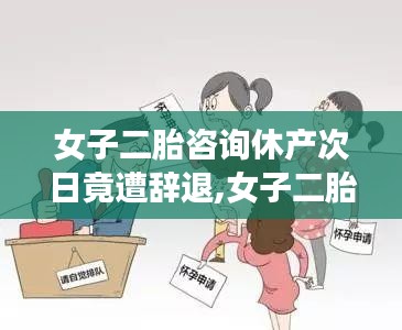 女子二胎咨询休产次日遭辞退事件引发热议，探究背后的职场与权益问题