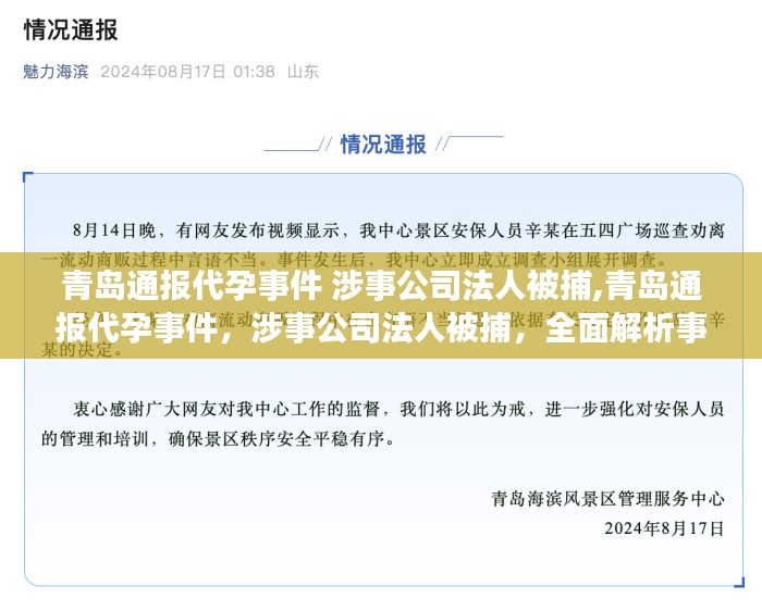 青岛代孕事件曝光，涉事公司法人被捕，事件影响及行业反思深度解析