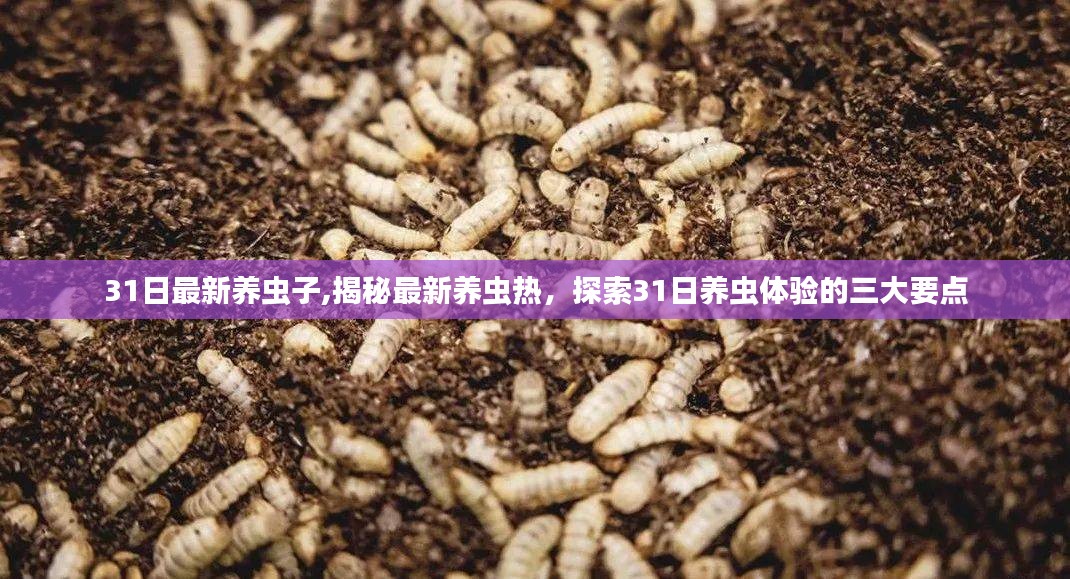 揭秘最新养虫热潮，探索养虫体验三大要点与最新养虫趋势解析