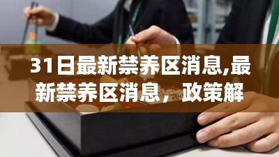 最新禁养区政策解读与影响分析，31日最新消息速递